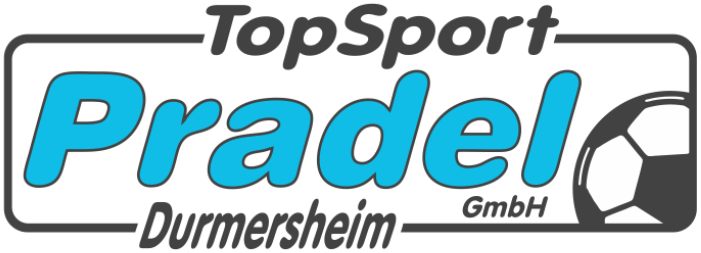 FV Steinmauern Logo 2