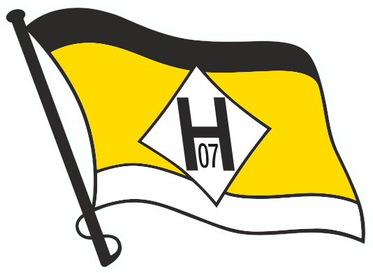 FSV Hansa 07 Logo