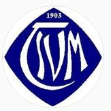 Faustball TSV Malmsheim Logo