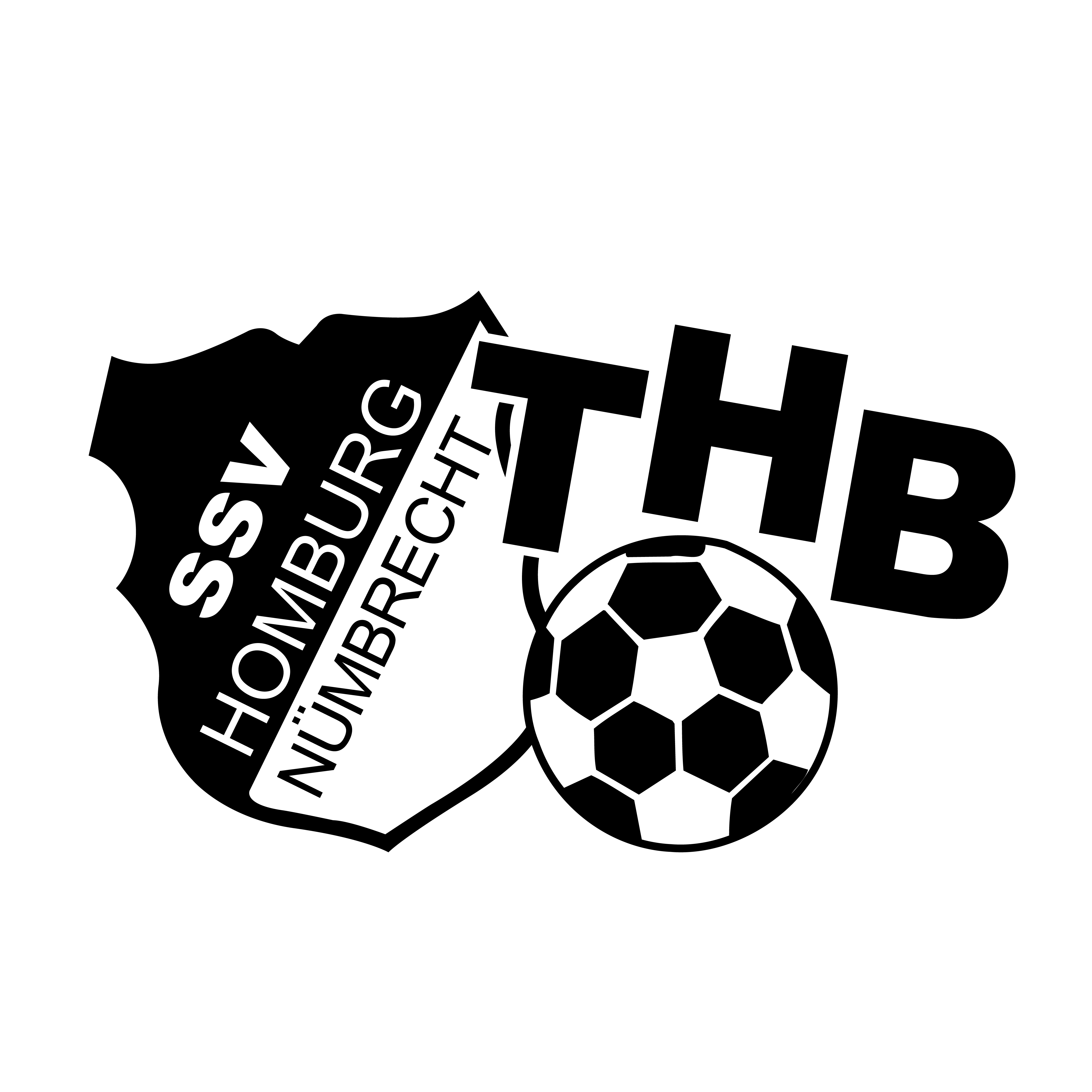 SG Nümbrecht-Bröltal Logo