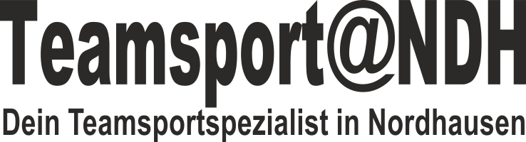 NSV Handball Logo 2