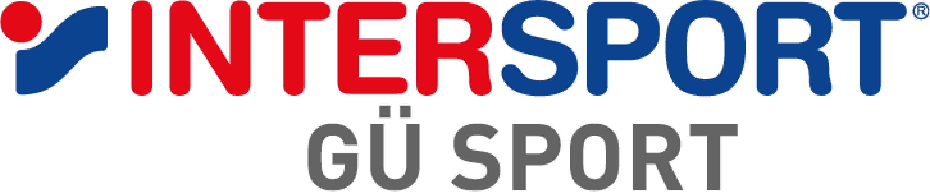 SV Motor Zwickau - Süd Logo 2