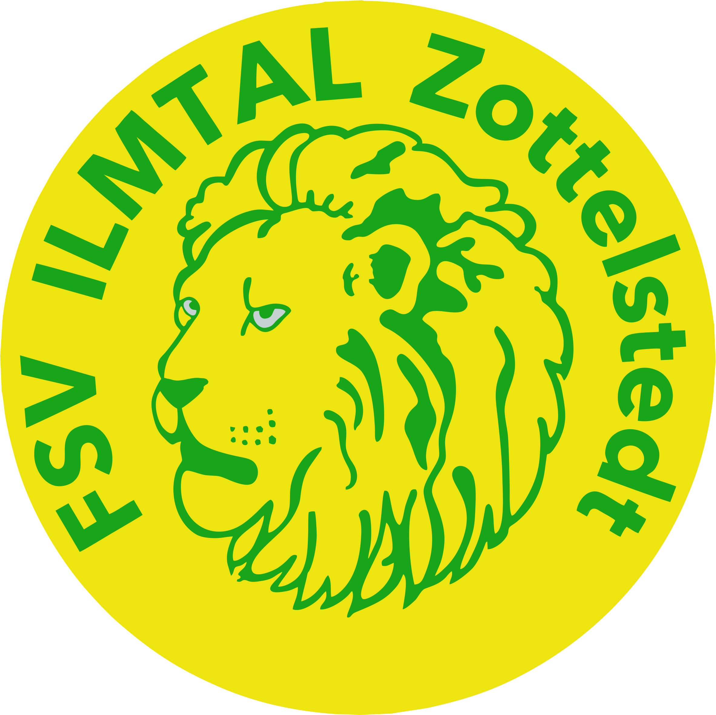 FSV Ilmtal Zottelstedt Logo