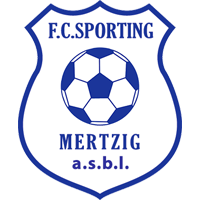 Mertzig Package Large Logo