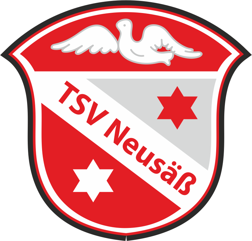 Fußballtalente Augsburg Logo