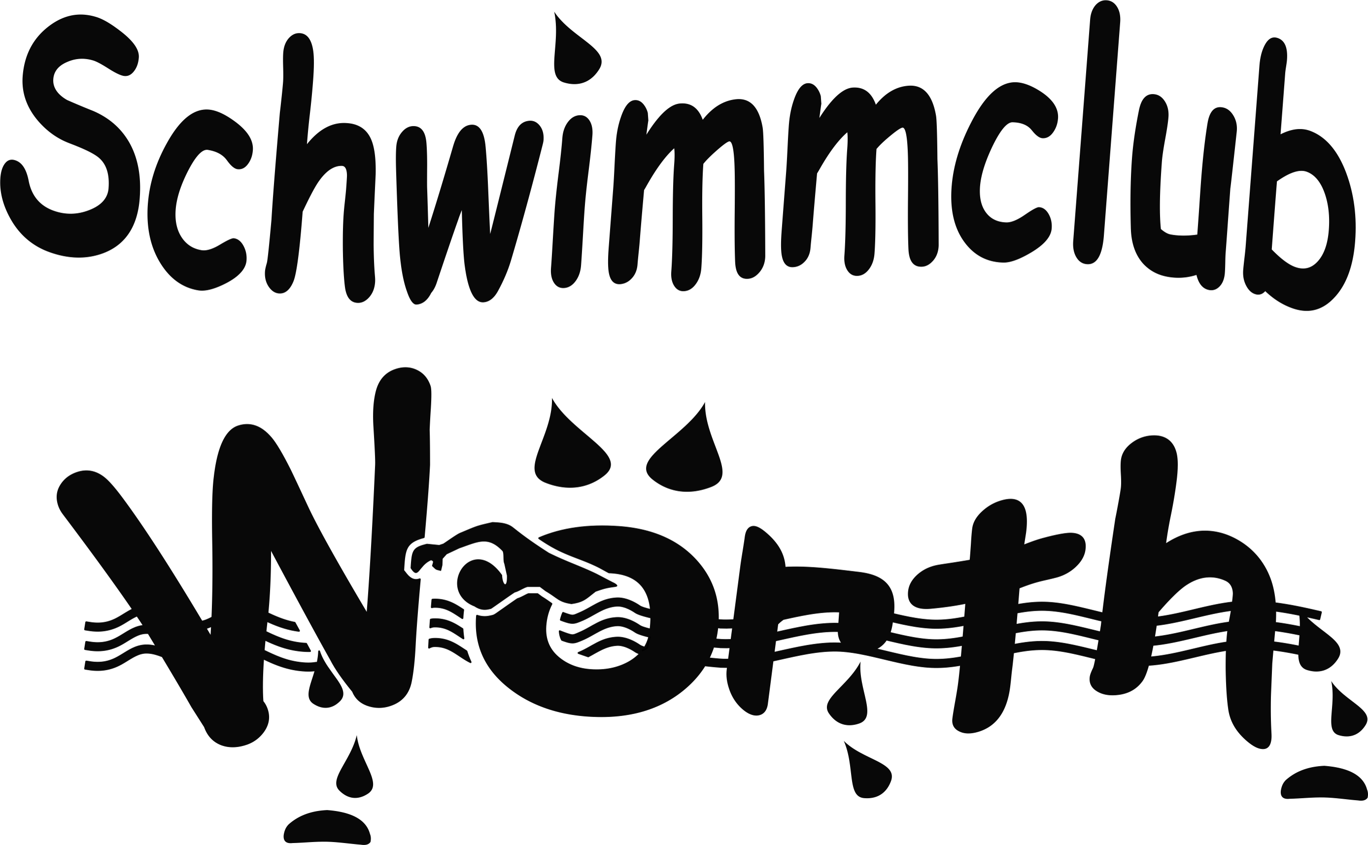 SC-WOERTH Logo