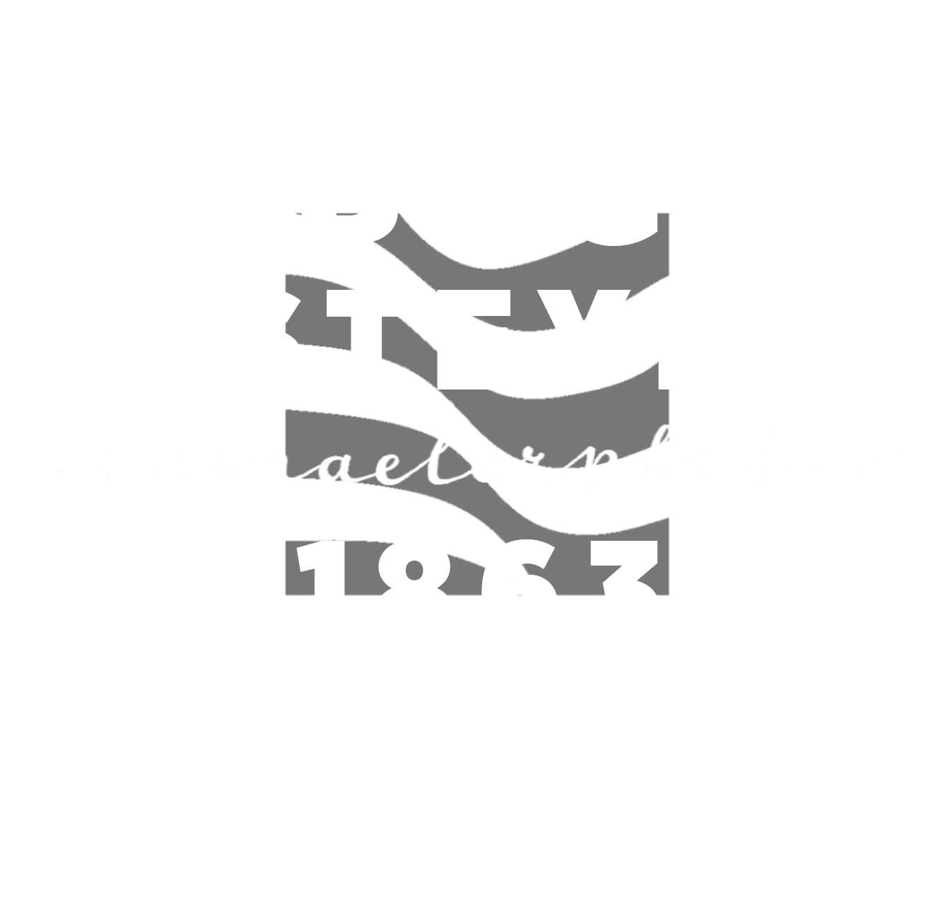 BRG STEYR Logo