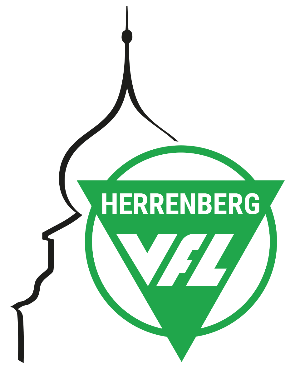 VfL Herrenberg Kampfkunst Logo