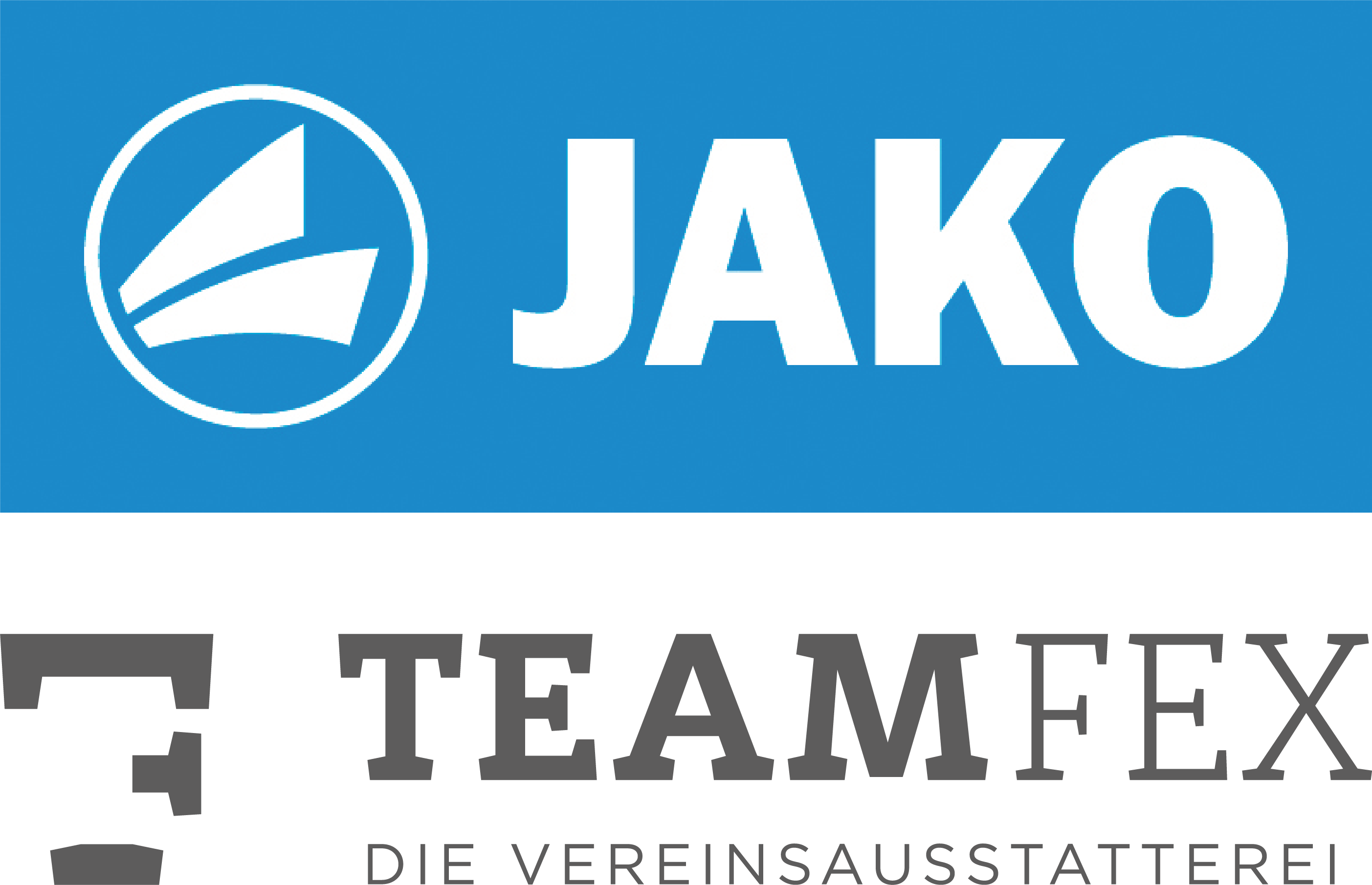 Teamfex Onlineshop Logo