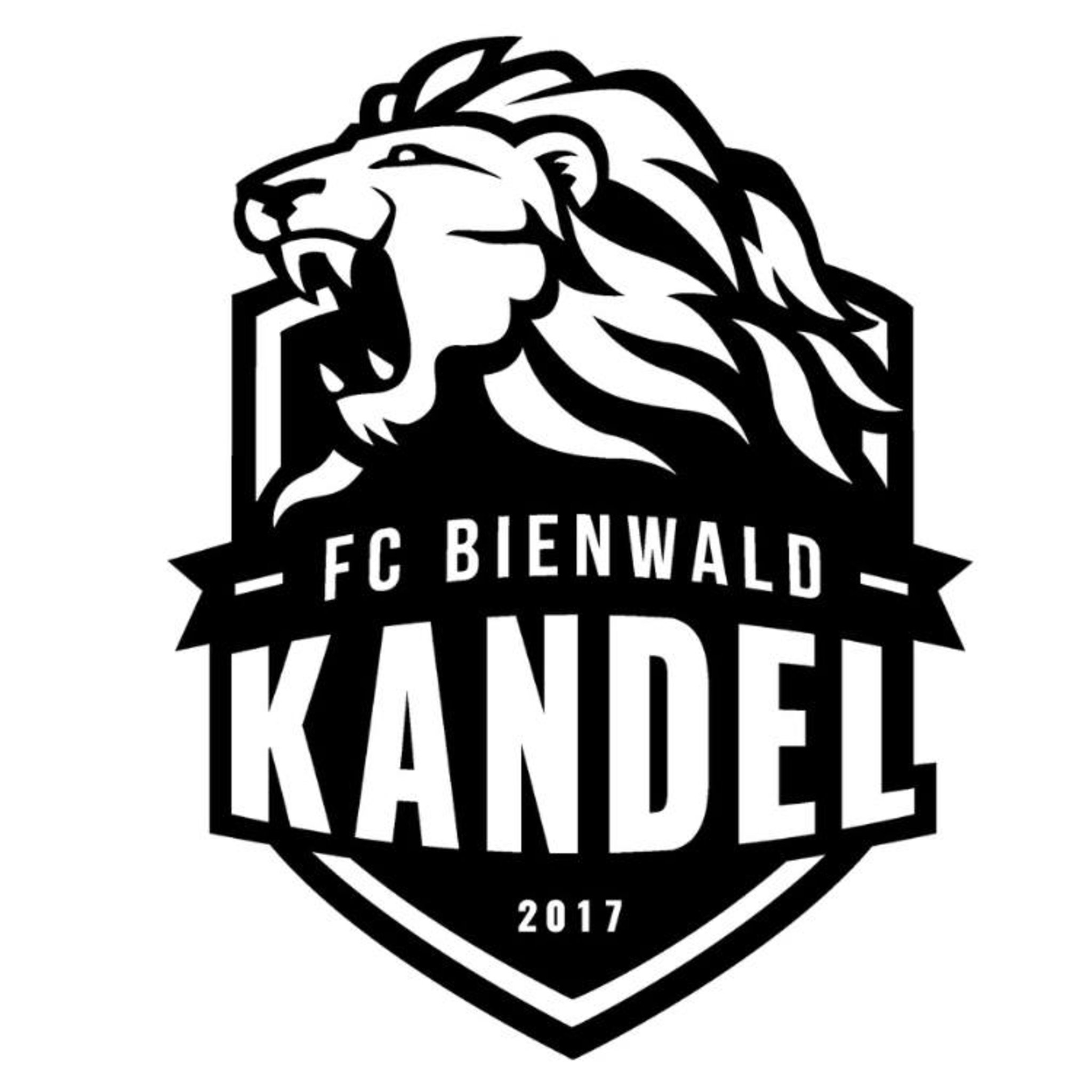 FC BIENWALD KANDEL - JUGEND Logo