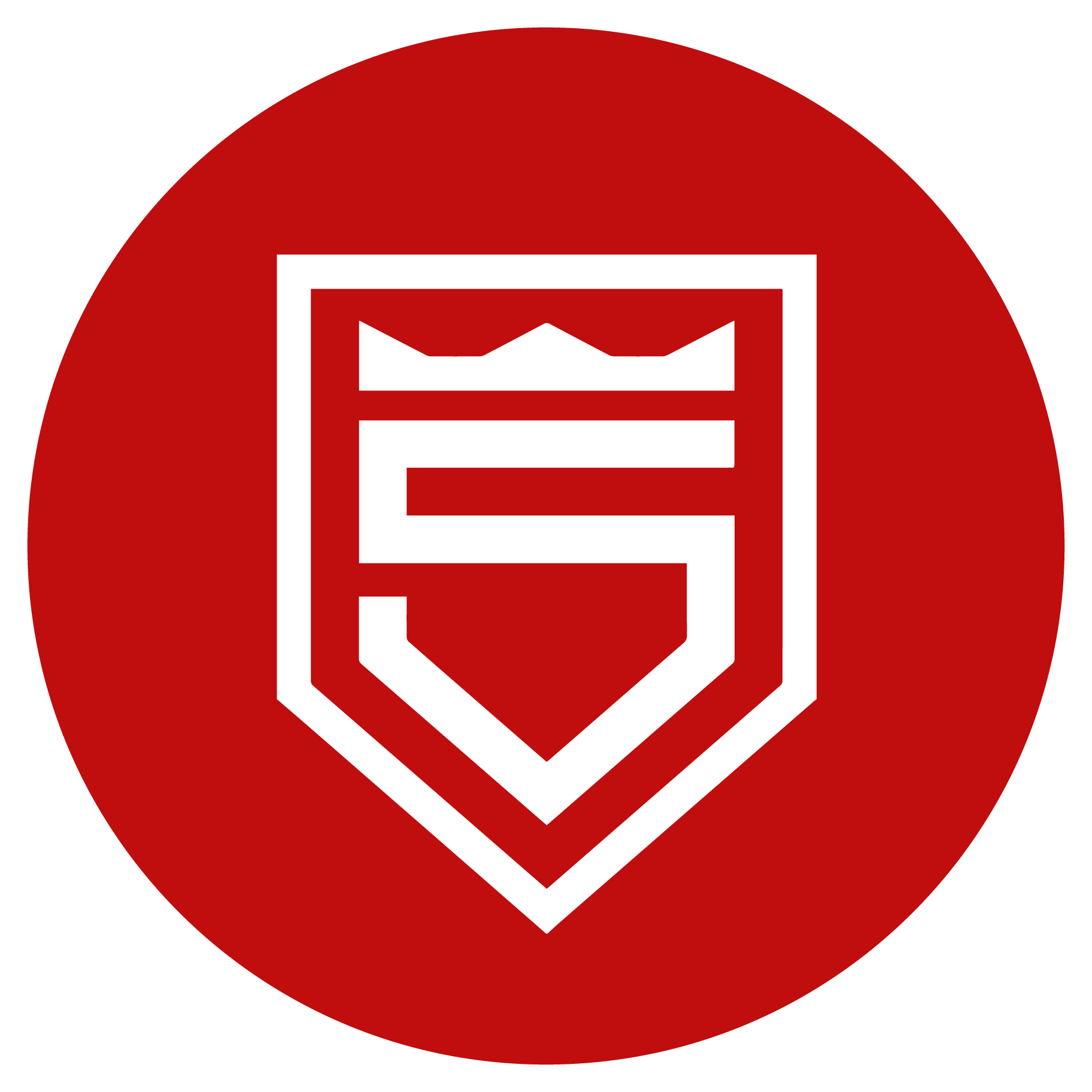 Sportfreunde Siegen 1899 e.V. Logo